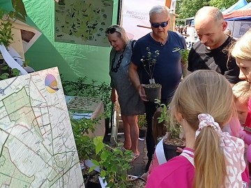 Piknik województwa łódzkiego w Brzezinach z okazji Dnia Dziecka, 